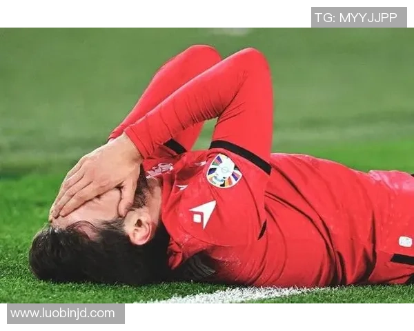 沈阳男足球星是谁揭秘视频，带你走进他们的足球生涯与荣耀时刻